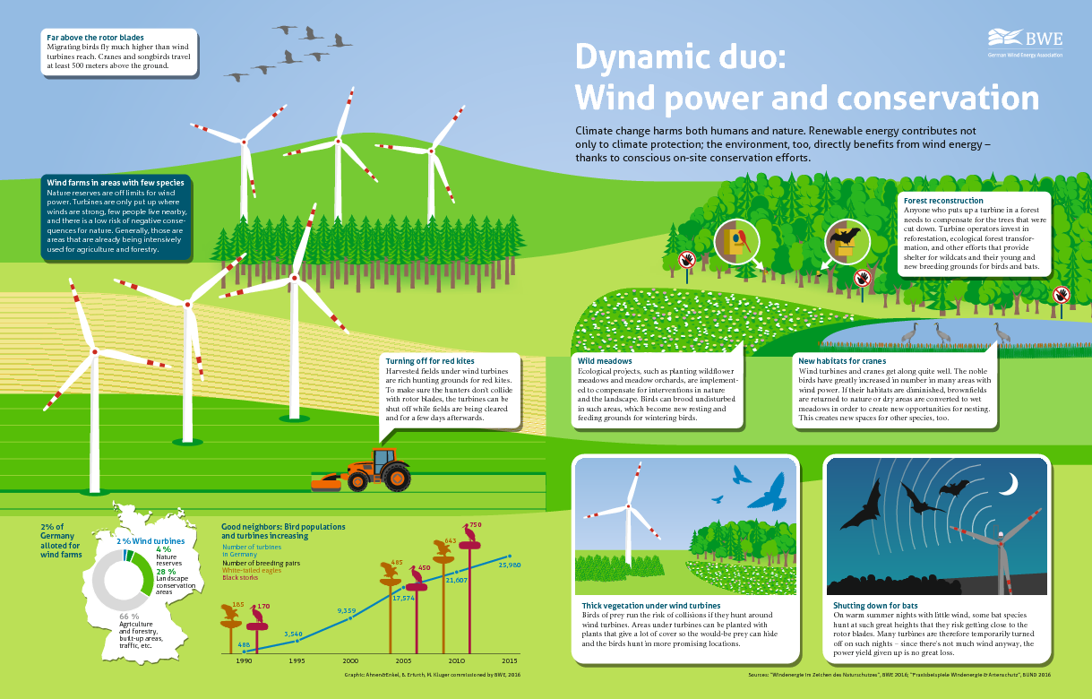 Dynamic duo: Wind power and conservation