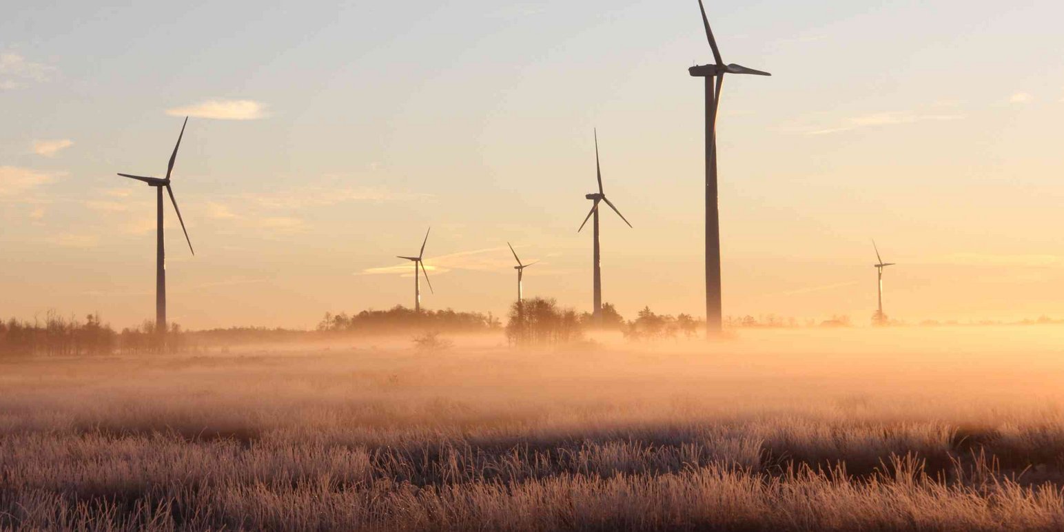 Positionspapier: EU Electrification Action Plan - Vorschlag zur Änderung der EBM-Verordnung