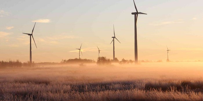 Positionspapier: EU Electrification Action Plan - Vorschlag zur Änderung der EBM-Verordnung
