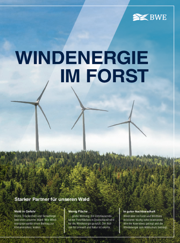 BWE-Broschüre Windenergie im Forst (8/2025) BWE-Broschüre Windenergie im Forst (8/2025)