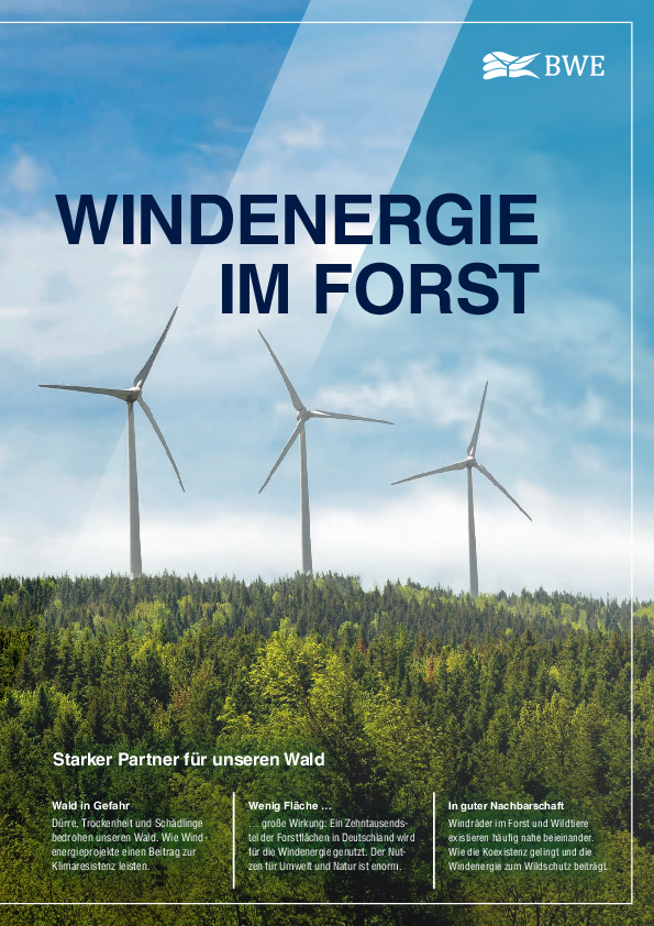 BWE-Broschüre Windenergie im Forst (8/2025)