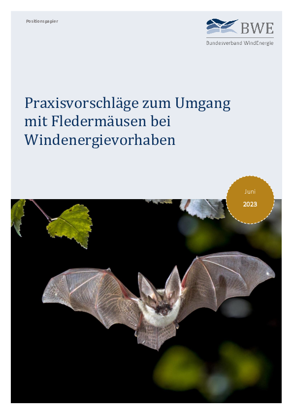BWE-Postitionspapier zum Umgang mit Fledermäusen bei Windenergievorhaben (06/2023)