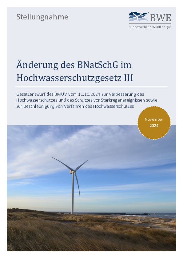BWE-Stellungnahme: Änderung des BNatSchG im Hochwasserschutzgesetz III (11/2024)