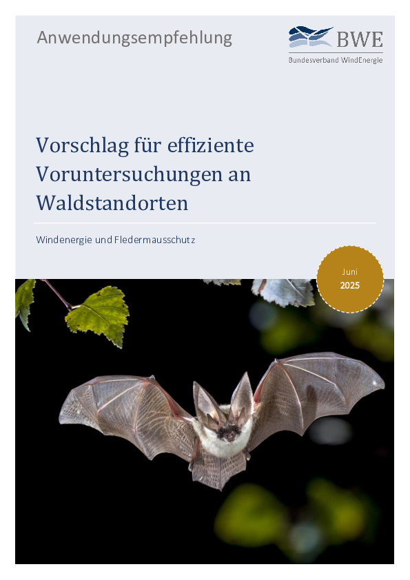 BWE-Anwendungsempfehlung: Vorschlag für effiziente Voruntersuchungen an Waldstandorten (06/2025)