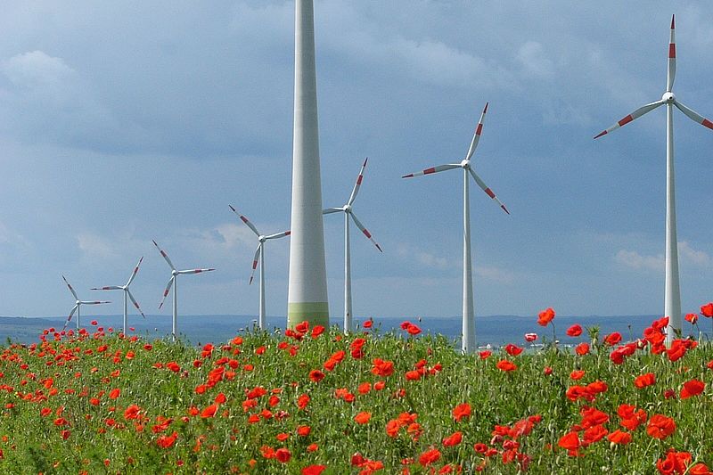 Windpark in Sachsen-Anhalt © Windpark Druiberg