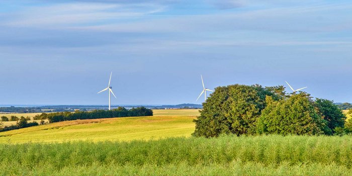 Stellungnahme: EU-Konsultation zur Änderung der Allgemeinen Gruppenfreistellungsverordnung (AGVO)