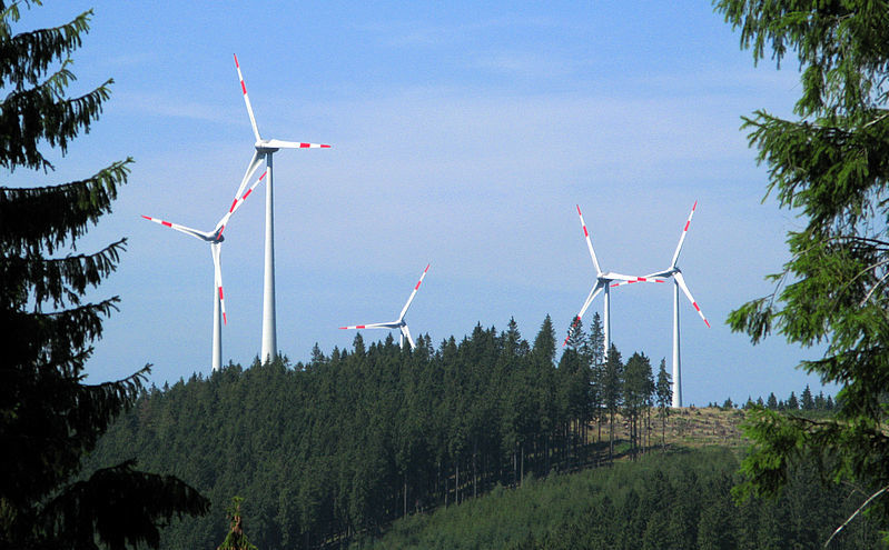 Regionalverbände