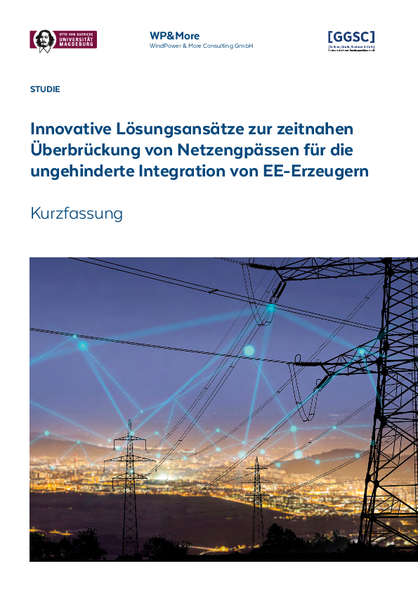 Studie im Auftrag des BWE: Netzoptimierung und Erneuerbare - Kurzfassung (06/2019)