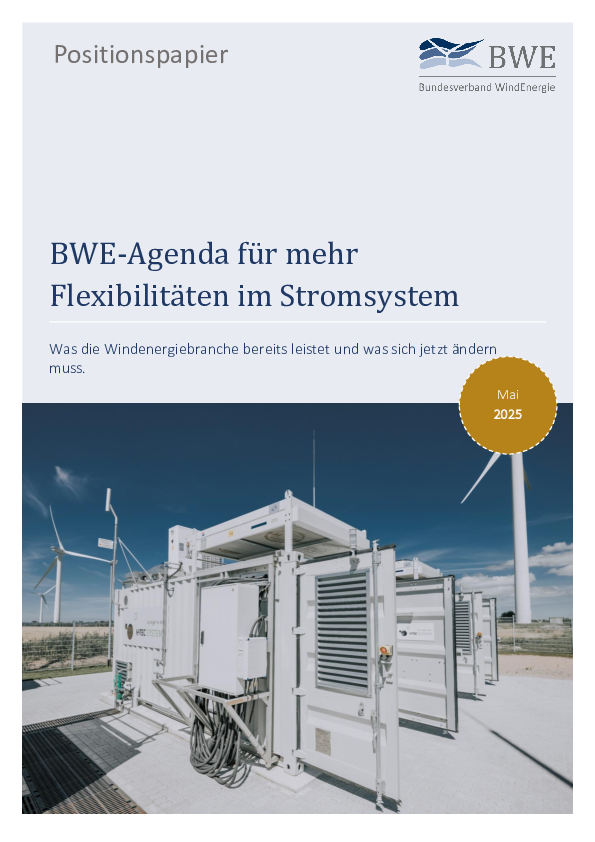 BWE-Positionspapier: Mehr Flexibilitäten im Stromsystem (05/2025)