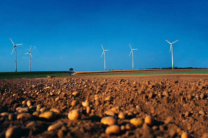 Windpark mit E-53 Anlagen, im Vordergrund ein Kartoffelacker © Enercon GmbH