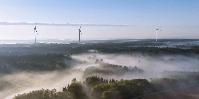 BWE-Forderungen: Mehr Marktzugang für Windenergie an Land