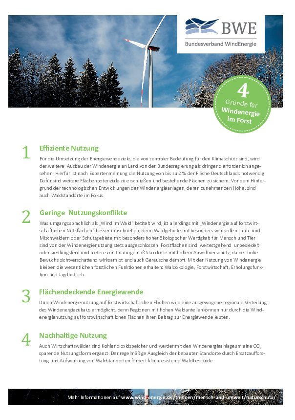 4 Gründe für Wind im Forst 