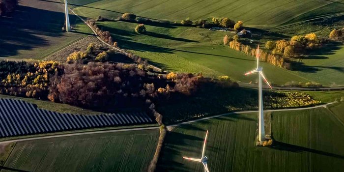 Windenergie im Forst
