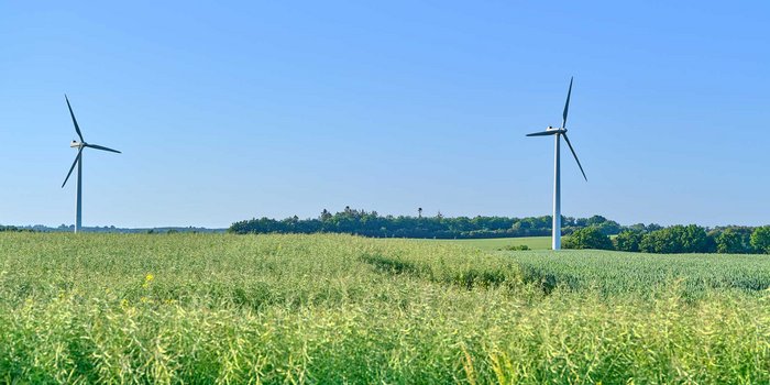 Stellungnahme: RED III – nationale Umsetzung im Bereich Windenergie an Land