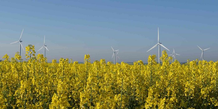 Rekordjahr geht zu Ende, Optimismus für 2025