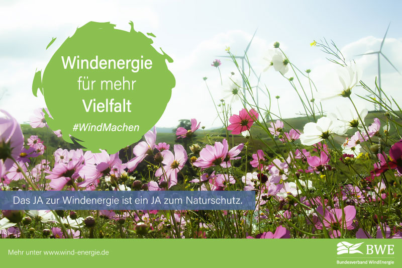 Windenergie für mehr Vielfalt