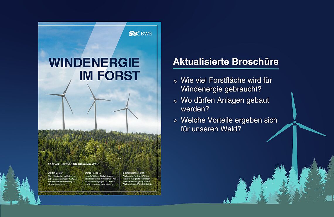 Beschreibung: 