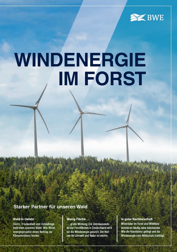 Windenergie im Forst 8/25 Windenergie im Forst 8/25