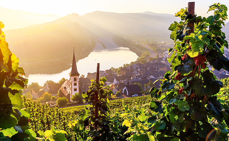 Rheinland-Pfalz / Saarland